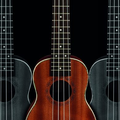 shutterstock_556435687